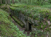 BOIS D'AILLY - TRANCHÉE DE LA SOIF - Han-sur-Meuse