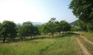 LES COTES DE MEUSE - Vigneulles-lès-Hattonchâtel