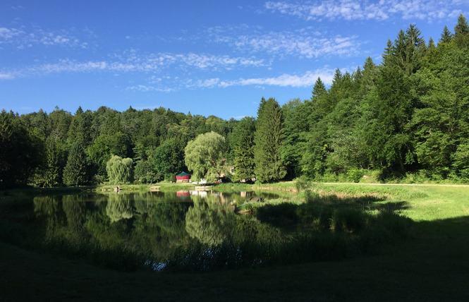 CAMPING FOXYCAMP - ÉTANGS DU LONGEAU 1 - Hannonville-sous-les-Côtes