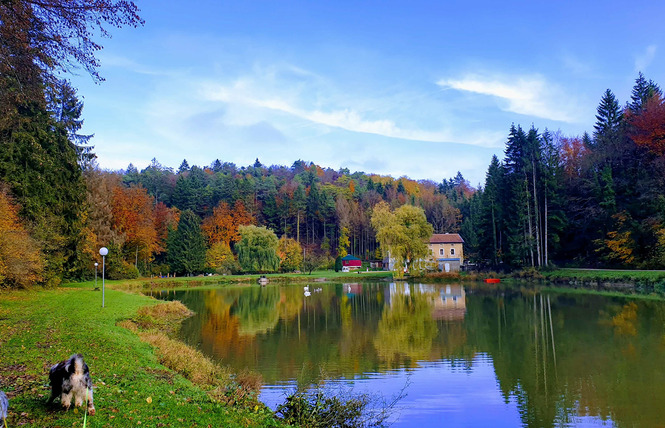 CAMPING FOXYCAMP - ÉTANGS DU LONGEAU 3 - Hannonville-sous-les-Côtes