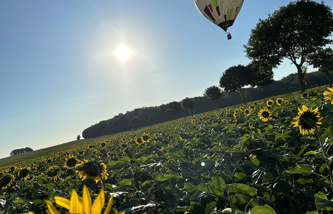 FLY MONTGOLFIÈRE 1 - Vigneulles-lès-Hattonchâtel