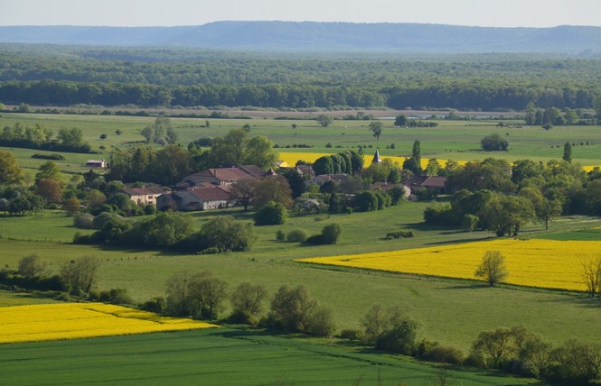 GÎTE LA GLYCINE 6 - Lachaussée