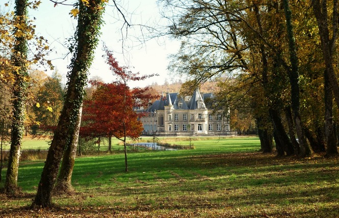 PARC DU CHATEAU DE THILLOMBOIS 1 - Thillombois