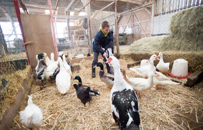 FERME PÉDAGOGIQUE DE WOIMBEY 5 - Woimbey