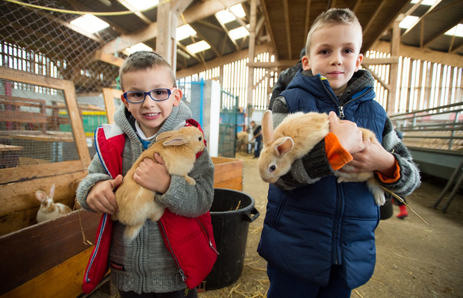 FERME PÉDAGOGIQUE DE WOIMBEY 1 - Woimbey