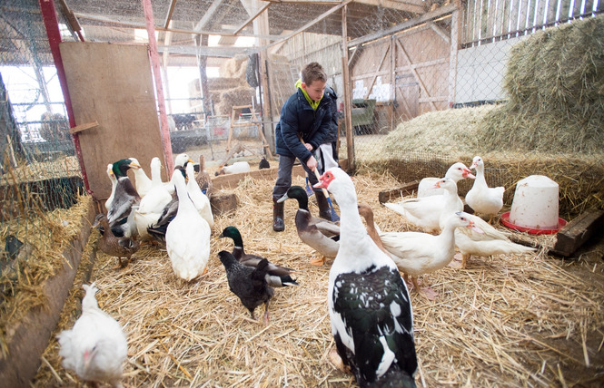 FERME PÉDAGOGIQUE DE WOIMBEY 3 - Woimbey