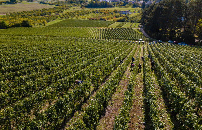 DOMAINE DE L'AUMONIÈRE 1 - Vigneulles-lès-Hattonchâtel