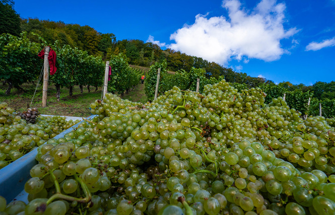 DOMAINE DE L'AUMONIÈRE 2 - Vigneulles-lès-Hattonchâtel