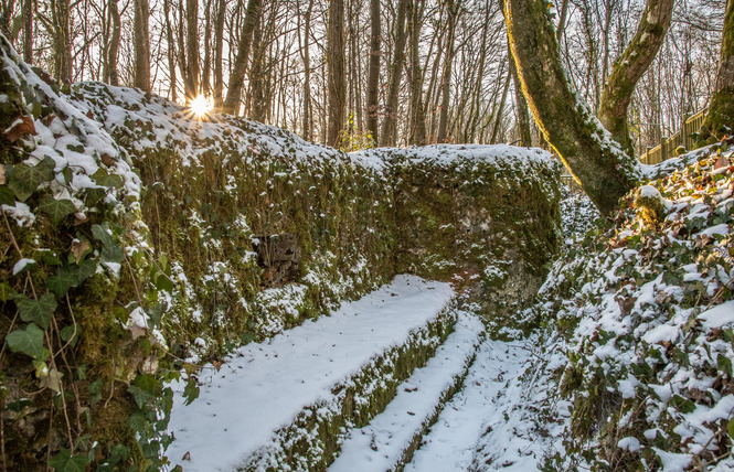 TRANCHÉES DES BAVAROIS ET DE ROFFIGNAC 3 - Apremont-la-Forêt