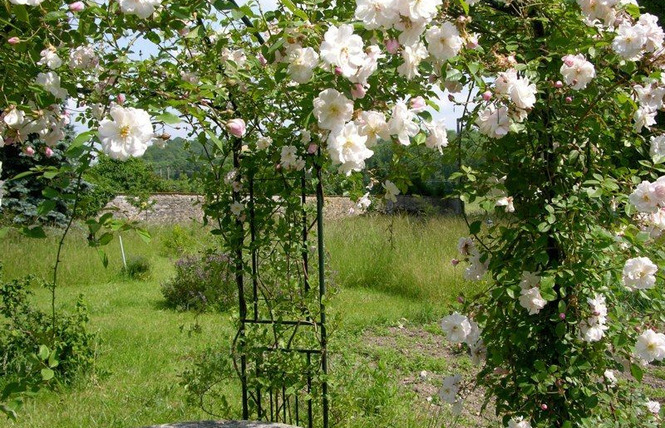 JARDIN TERRE DE REVES 2 - Saint-Mihiel