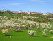 VILLAGE REMARQUABLE D'HATTONCHÂTEL 1 - Vigneulles-lès-Hattonchâtel